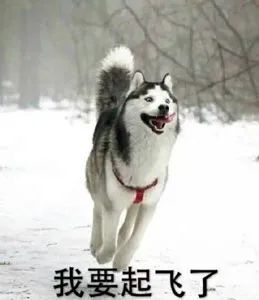 我們的目標(biāo)是，提高品牌有效的曝光！