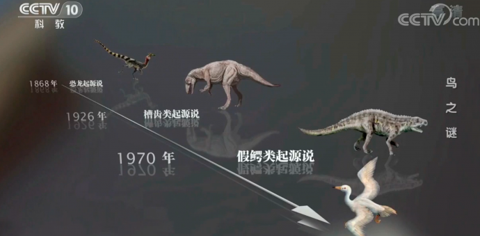 紀錄片拍攝，畫面上都應(yīng)該做哪些思考？——《百年地理大發(fā)現(xiàn)》幕后故事之專訪攝影師辛春風(fēng)