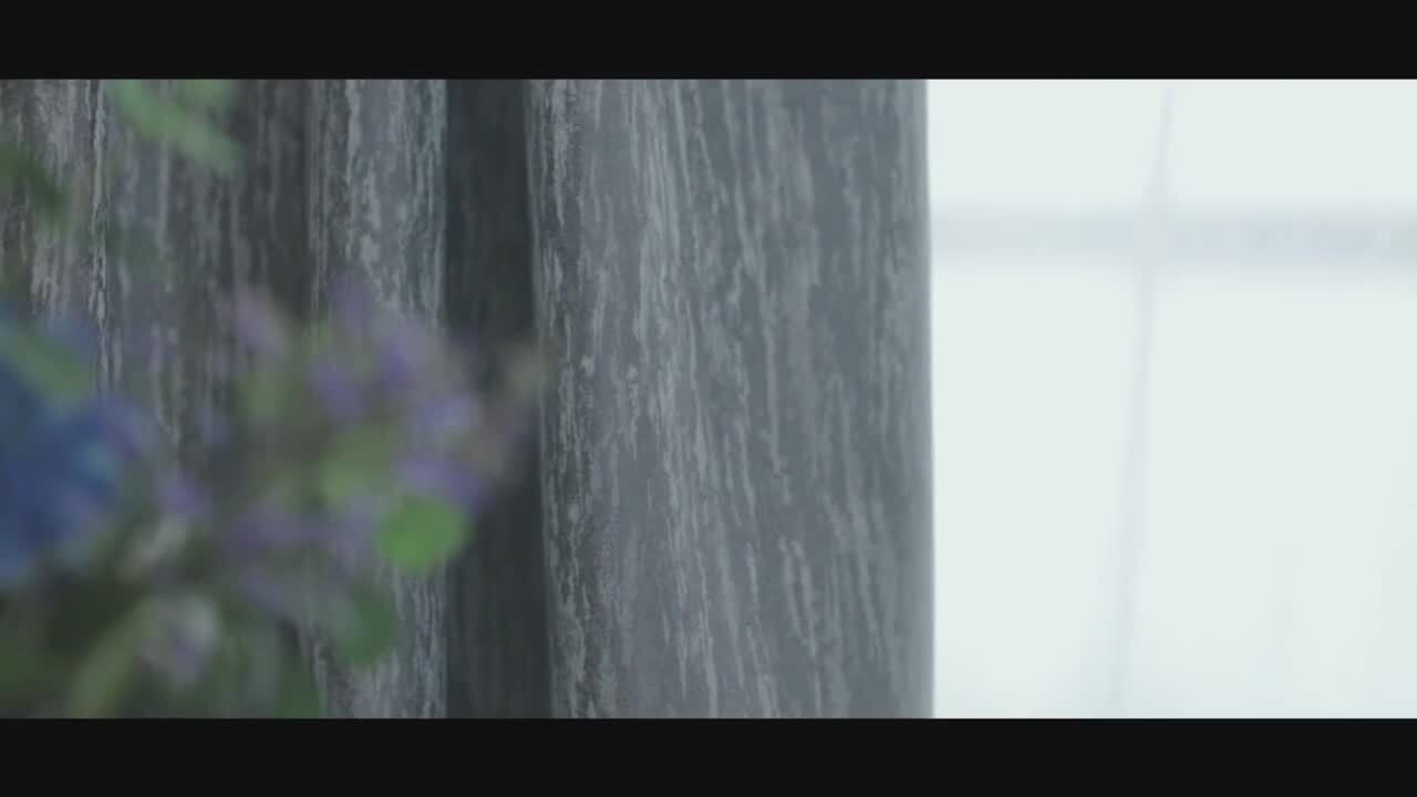 萬(wàn)科／智能窗簾